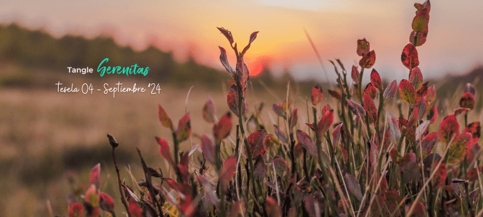 Cuarta sesión – Sueños de Otoño