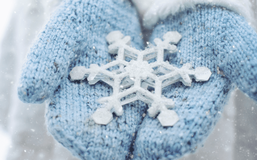 TS19 – Invierno