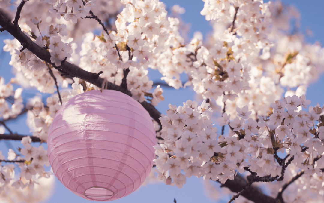 TS31 – Hanami