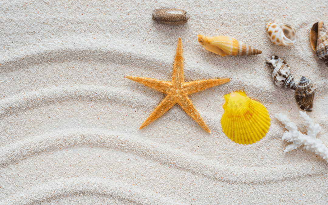 TS37 – La magia del mar