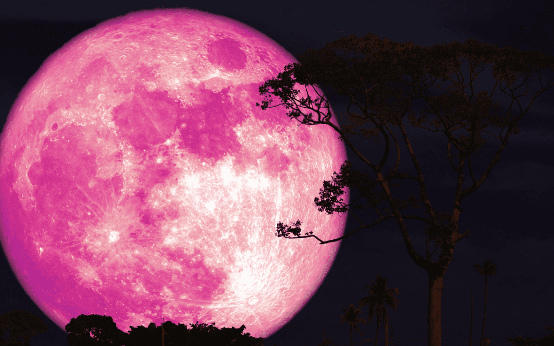 TS36 – Luna llena de fresa