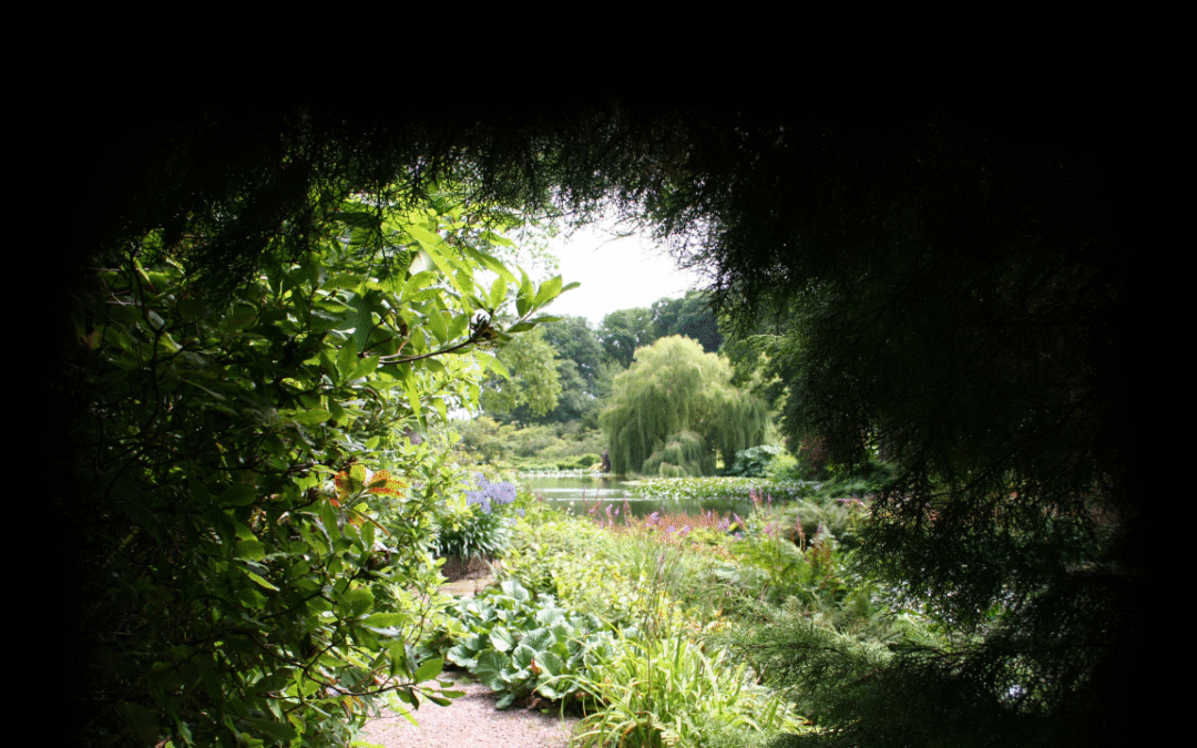 TS50 – El Jardín secreto (IV)