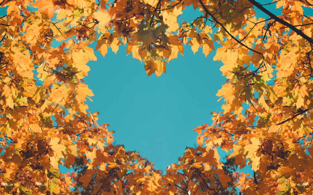 TS51 – Gratitud