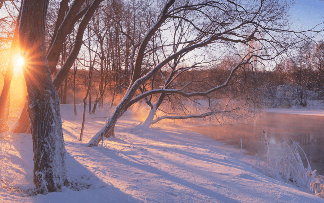 TS64 – Luz de invierno (II)