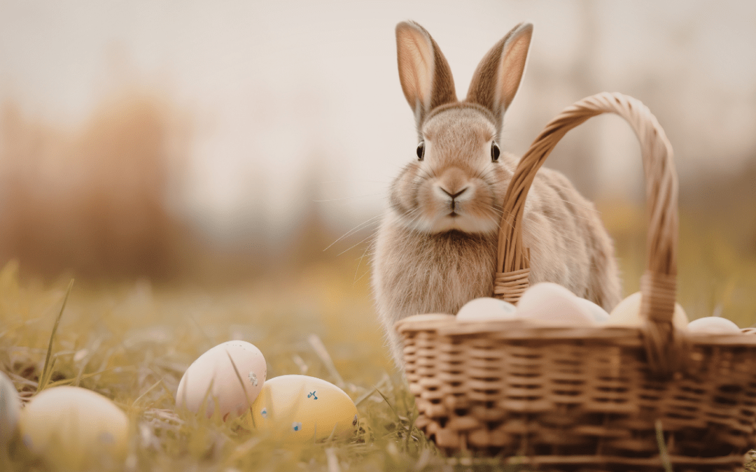 TS75 – Pascua